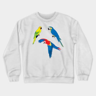 Tropical parrots, wildlife, nature, Carribean Islands Crewneck Sweatshirt